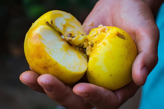 Foto una mano con una manzana podrida