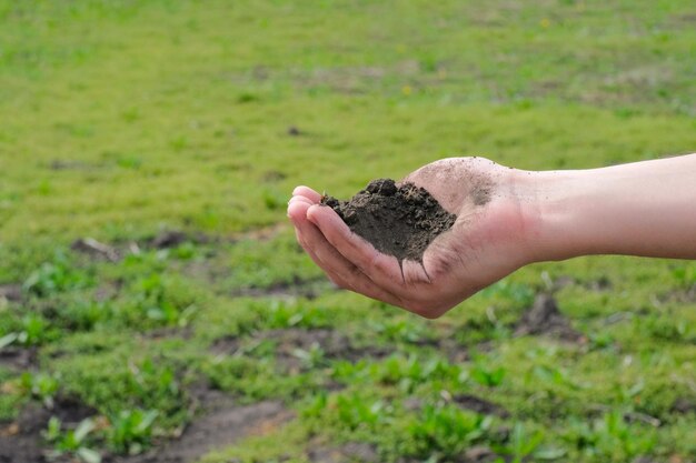 Mano masculina con un puñado de tierra en un jardín de primavera El concepto de crecimiento de plantas agrícolas