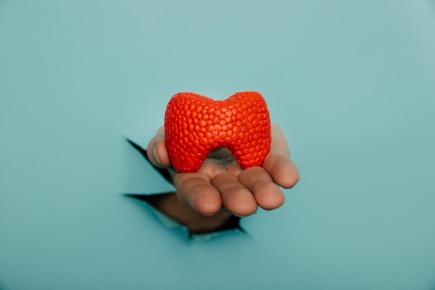 Mano masculina que muestra una tiroides de un agujero rasgado en la pared de papel azul Publicidad de productos farmacéuticos y medicamentos para el cuidado de la salud