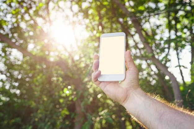 Mano masculina sostenga un teléfono inteligente blanco sobre una imagen borrosa del fondo del bosque verde