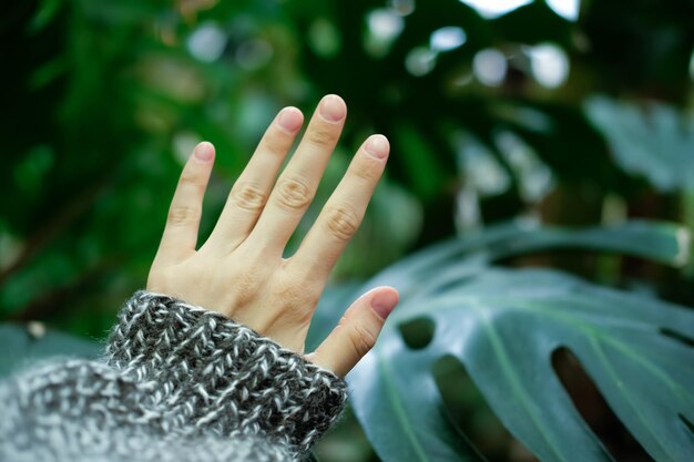 Una mano con monstera borrosa en el fondo