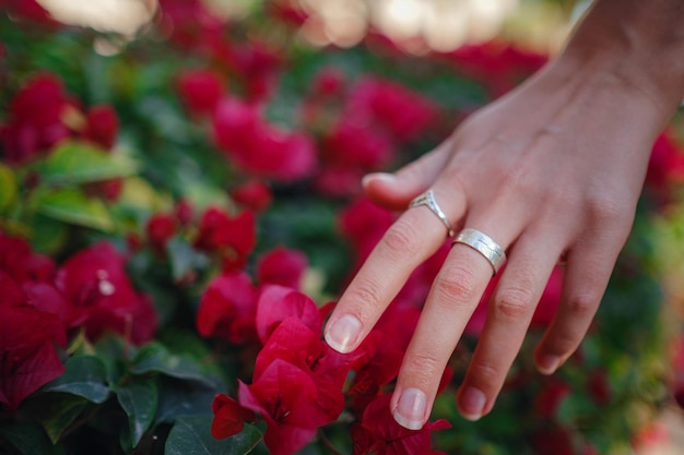 Mano de mujer acariciando las hermosas flores moradas