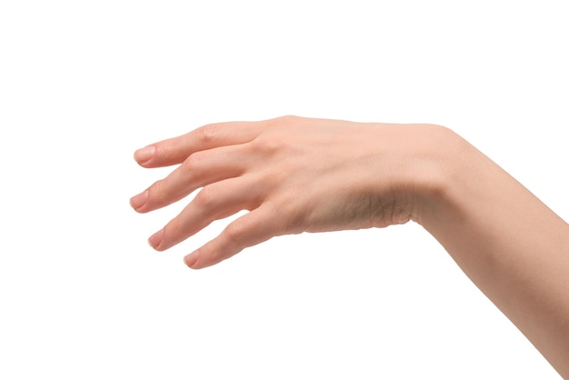 Mano de mujer aislada sobre un fondo blanco.