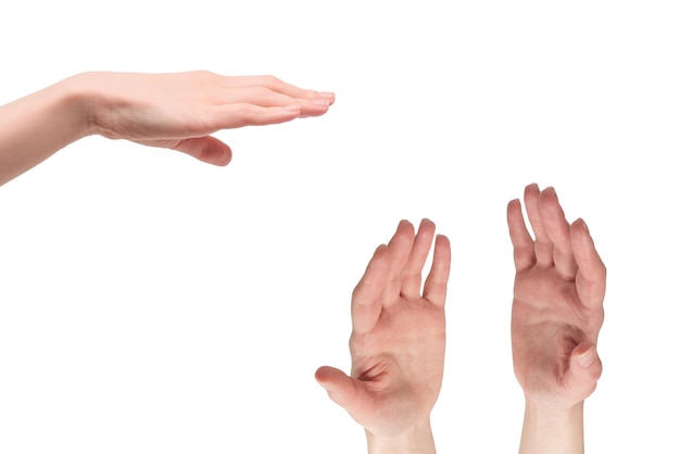 Mano de mujer aislada sobre un fondo blanco.