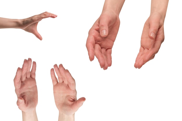 Mano de mujer aislada sobre un fondo blanco.