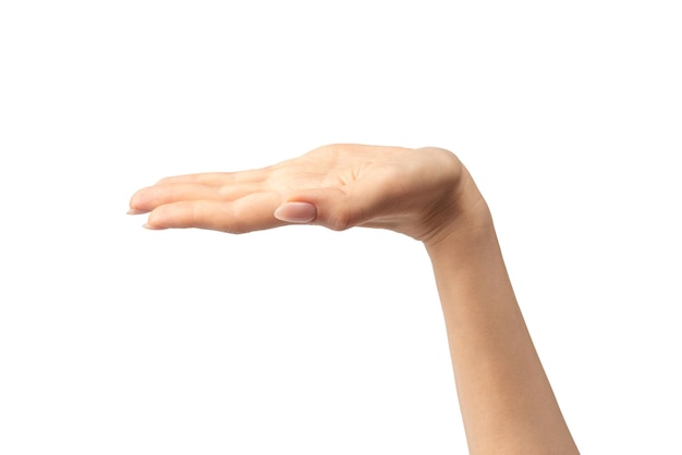 Mano de mujer aislada sobre un fondo blanco.