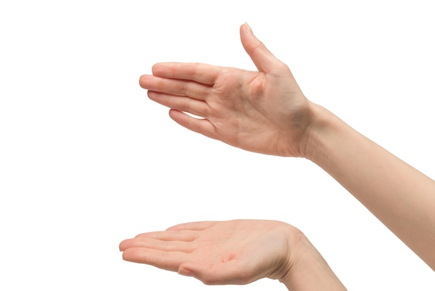 Mano de mujer aislado sobre un fondo blanco.