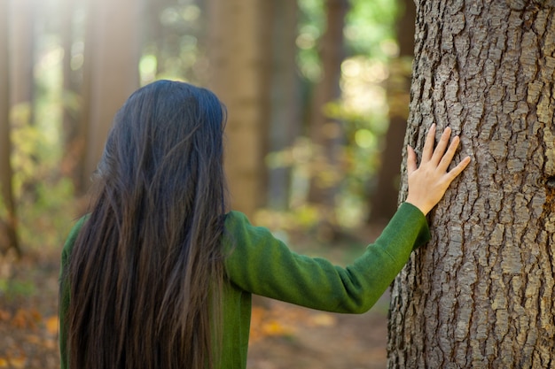 Mano de mujer en árbol en la naturaleza