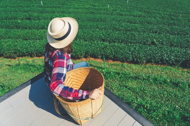 Mano de mujer asiática recogiendo las hojas de té de la plantación de té, los nuevos brotes