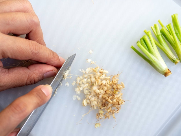 Mano de mujer cortando la raíz de cilantro sobre una tabla de cortar de plástico blanco con un cuchillo de cocina y pequeños trozos de raíz de cilantro, preparación para cocinar.