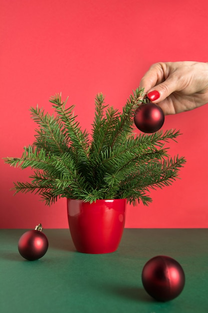 La mano de la mujer decora un pequeño árbol de Navidad con bolas rojas.