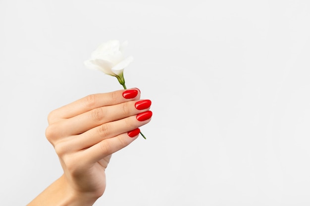 Mano de mujer con una flor sobre fondo gris