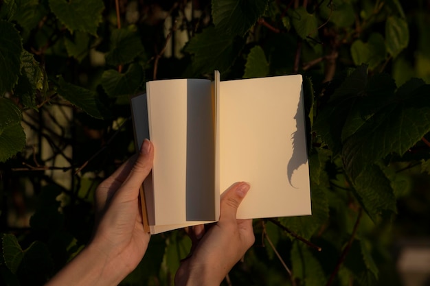 la mano de una mujer hojea un cuaderno vacío. hermoso y acogedor color de puesta de sol. cuaderno en el backgro