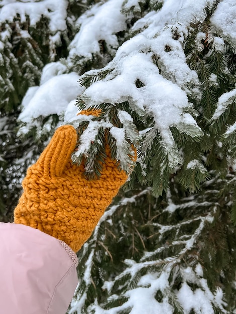 La mano de una mujer en una manopla de punto naranja sostiene una rama espinosa de un árbol de Navidad en el invierno nevado