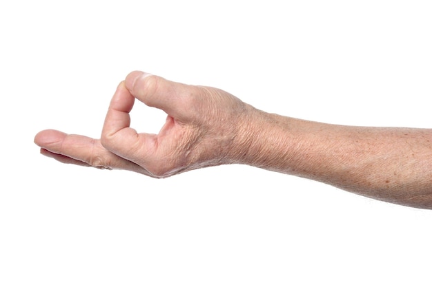 Foto mano de mujer mayor mostrando dinero gesto aislado sobre fondo blanco.