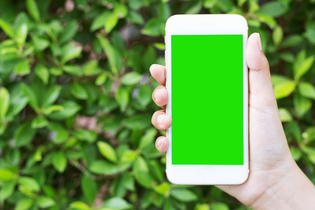 La mano de la mujer muestra el teléfono inteligente con pantalla verde