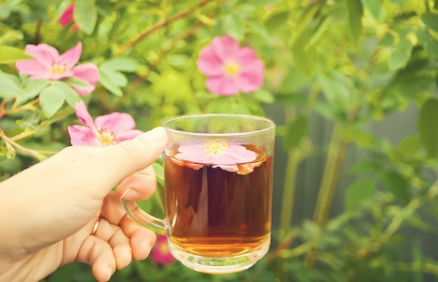 La mano de la mujer puso una taza de té con flores de rosa mosqueta