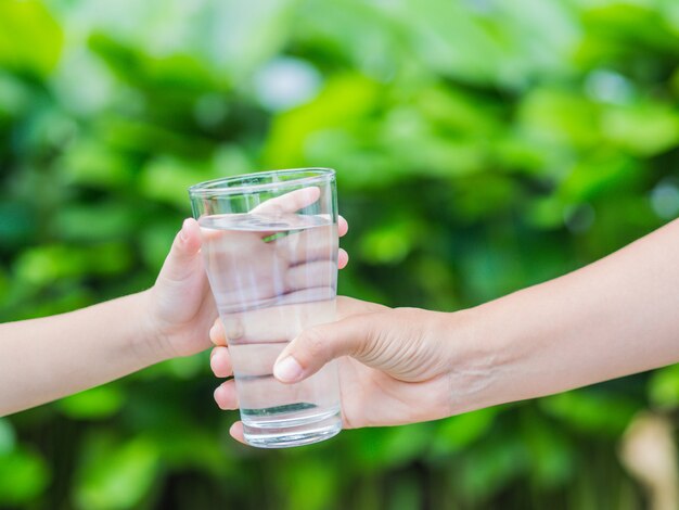 Mano de la mujer que da el vidrio de agua dulce al niño en el fondo de la hierba verde.