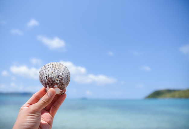 Mano de la mujer que lleva a cabo una cáscara en la playa con el fondo del mar borroso y del cielo azul. Concepto de día de verano