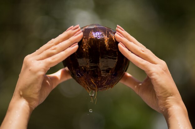 Mano de mujer sacó coco del agua. verde selva