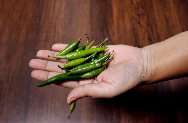 Mano de mujer sosteniendo algunos chiles verdes frescos