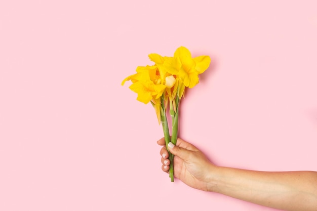 Mano de mujer sosteniendo flores amarillas sobre un fondo rosa con espacio de copia