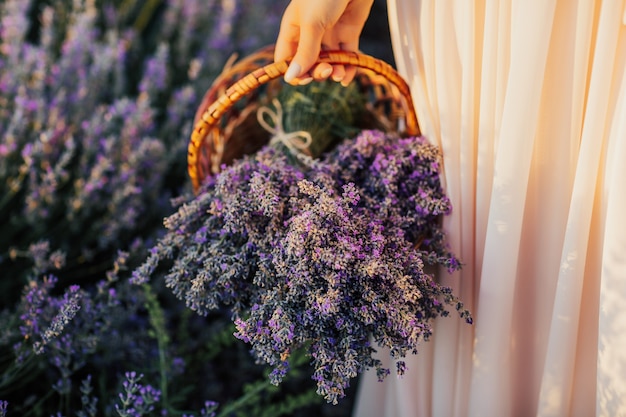Mano de mujer sosteniendo una hermosa canasta de flores de lavanda.