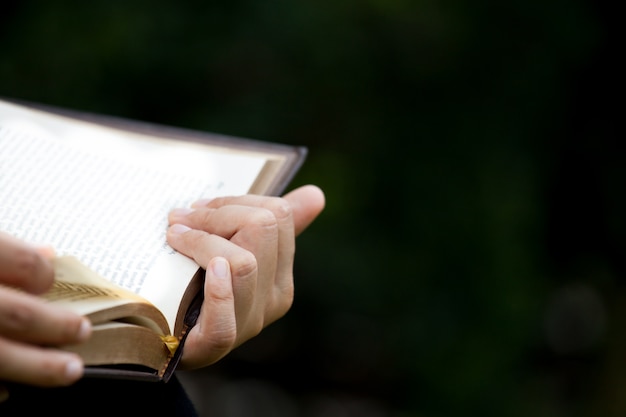 Foto mano de mujer sosteniendo y leyendo un libro en el parque natural