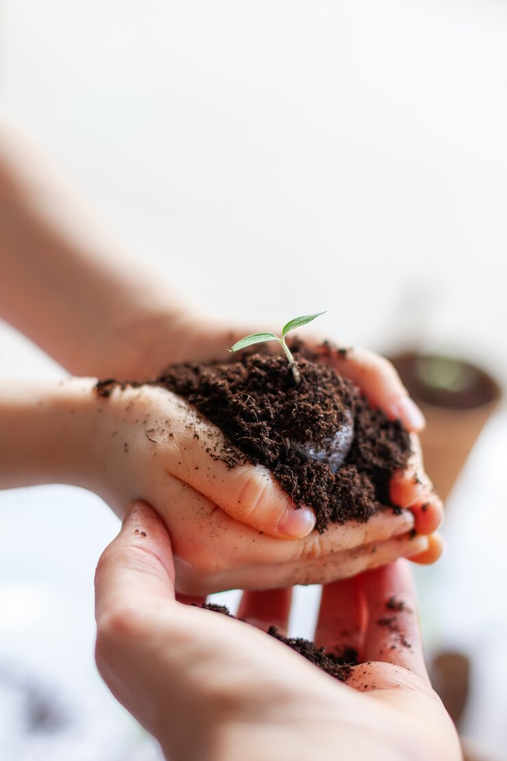 Mano de mujer sosteniendo las manos de un niño sosteniendo una planta con tierra