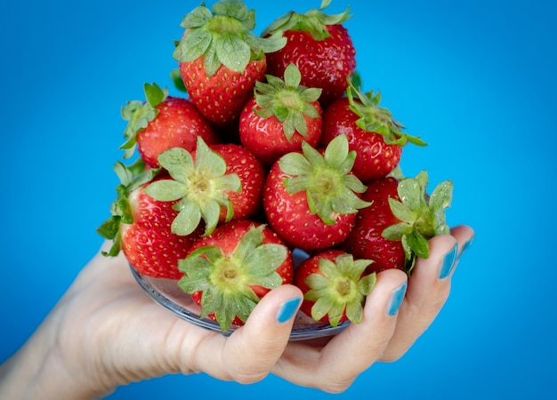 Mano de mujer sosteniendo un plato de fresas maduras frescas. Fondo azul