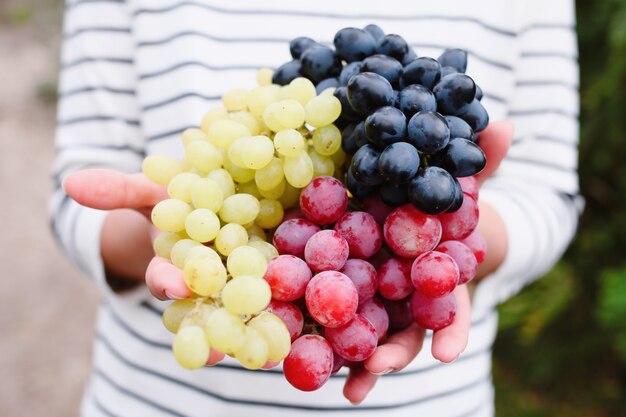 Mano de mujer sosteniendo uvas multicolores