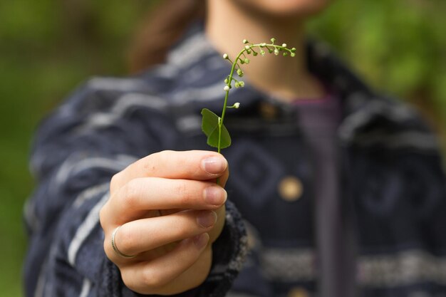 La mano de la mujer sostiene un brote verde de cerezo de pájaro con brotes y conceptos de entorno de hojas