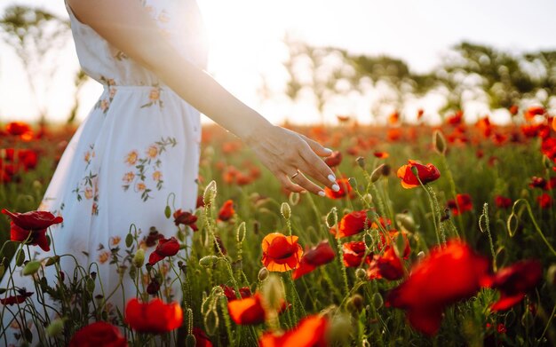 Mano de mujer tocando flores de amapola en el campo al atardecer