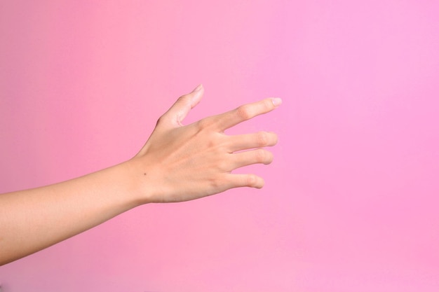 Mano de mujer tratando de alcanzar o agarrar algo aislado sobre fondo rosa