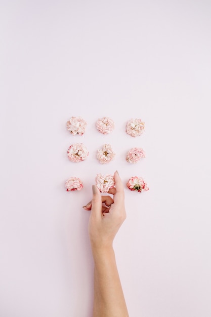 Mano de niña sosteniendo capullos de rosa secos rosados en rosa