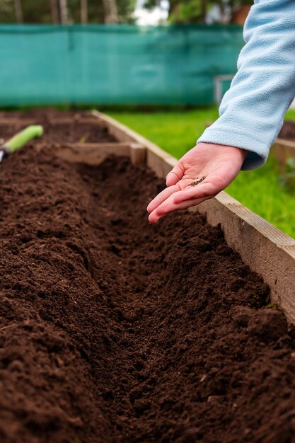 Mano de niñas con primer plano de semillas de plantas