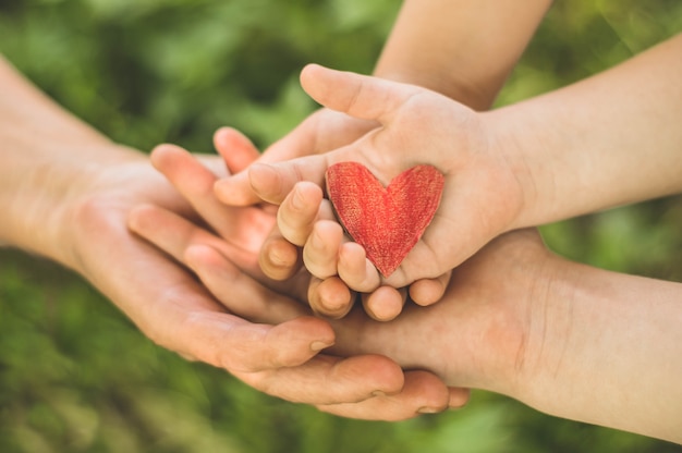 La mano del niño y la abuela de la mano vieja sostienen el corazón