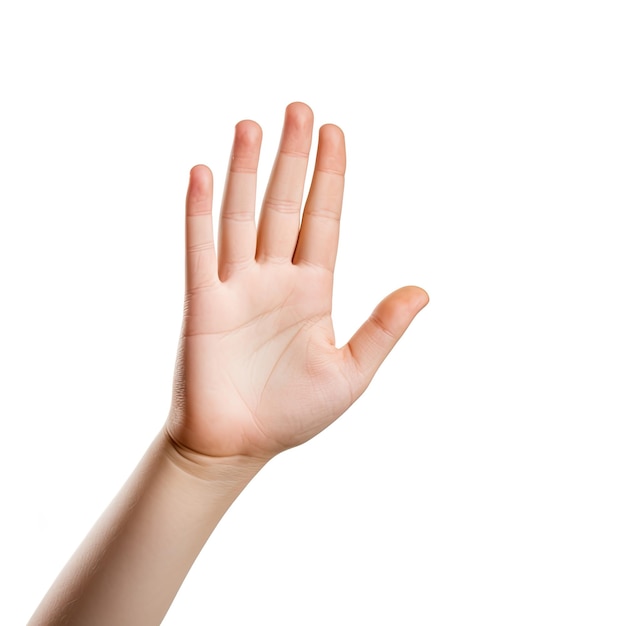 Mano de niño aislada señalando sobre un fondo blanco Conjunto de antebrazo y palma de la mano de los niños en varios
