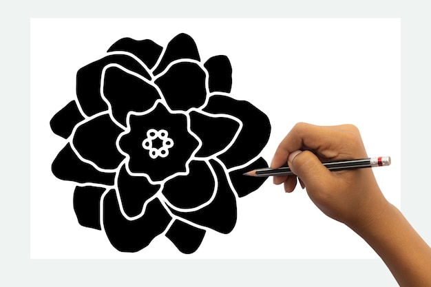 Foto la mano del niño está lista para dibujar flores negras con lápiz negro. aislado en el fondo blanco de la mesa.