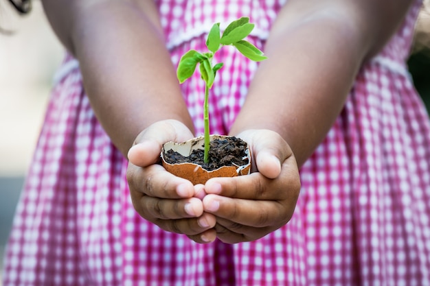 La mano del niño que sostiene el árbol joven en la cáscara de huevo para prepara la planta en la tierra, ahorra el concepto del mundo