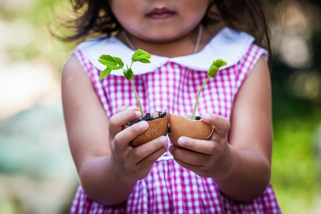 La mano del niño que sostiene el árbol joven en la cáscara de huevo para prepara la planta en la tierra, ahorra el concepto del mundo