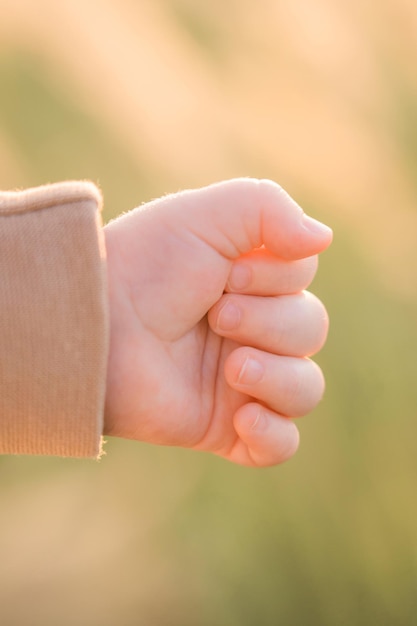 La mano de un niño recién nacido en los rayos del sol poniente de cerca