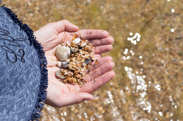 Mano del niño sosteniendo conchas aisladas, conchas en el fondo, playa