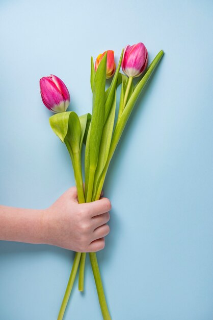 La mano del niño sostiene un fresco ramo de tulipanes de color rosa brillante