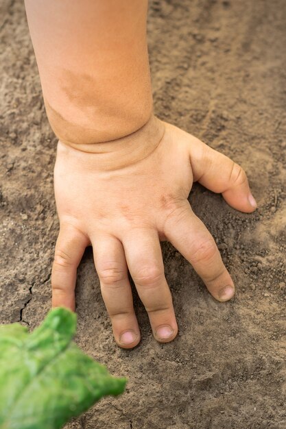 Mano de niño toque fondo de suelo seco