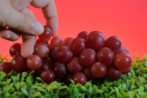 La mano de una persona recoge una uva roja de un racimo