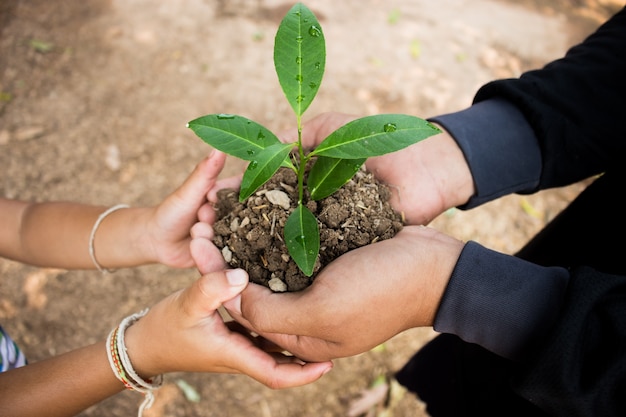 Mano para plantar árboles