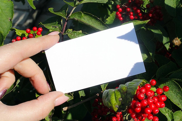 Foto mano de plantilla de tarjeta de visita blanca con flores mockup