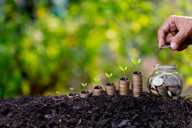 Mano poniendo monedas de dinero como gráfico de crecimiento, planta brotando del suelo con fondo verde.