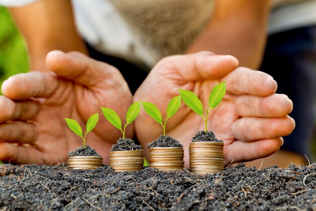 Foto mano poniendo monedas en el gráfico de crecimiento de la pila de monedas con fondo verde bokeh, concepto de inversión. árbol que crece en monedas, finanzas empresariales y concepto de ahorro de dinero